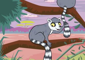 Lemurs, Madagascar