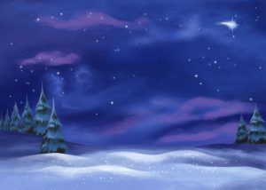 Night time snow scene